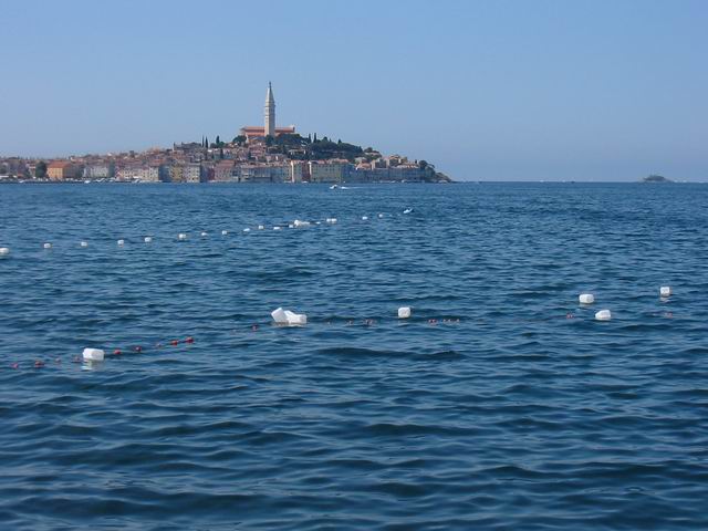 185_8509