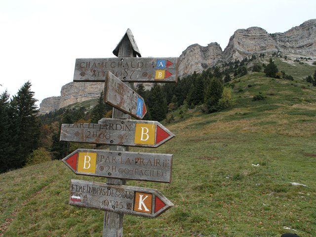 PA220820