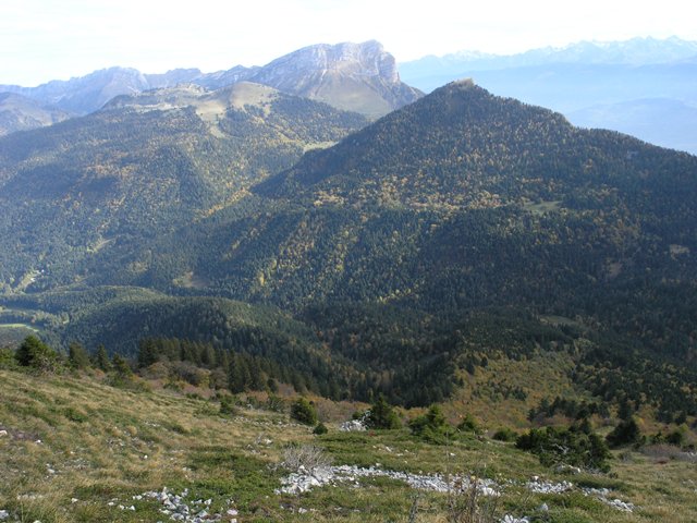 PA220835