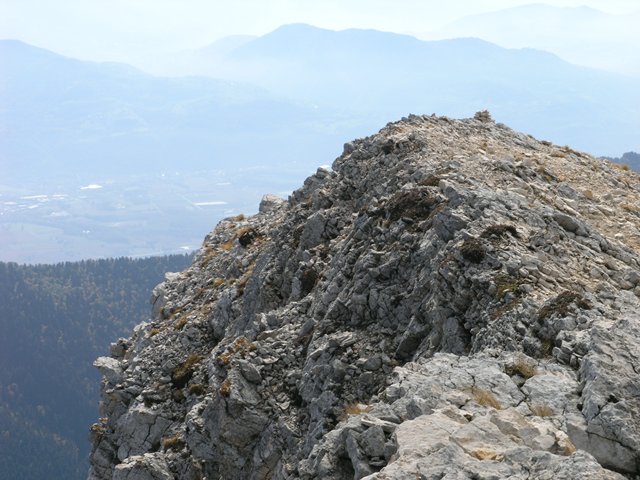 PA220848