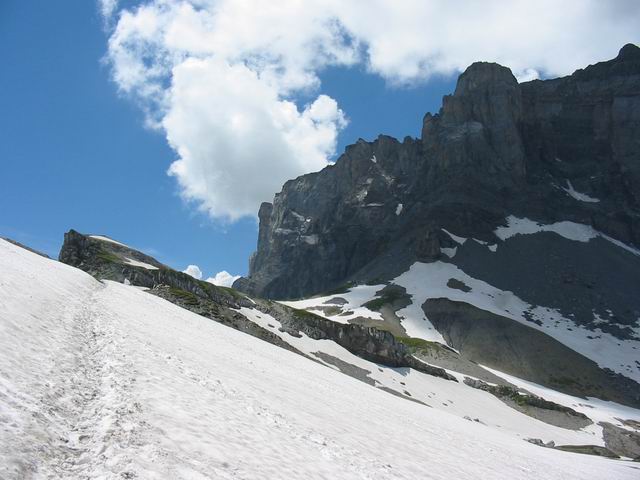 184_8461