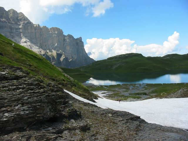 184_8476