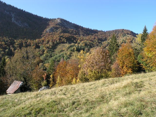 PA241004
